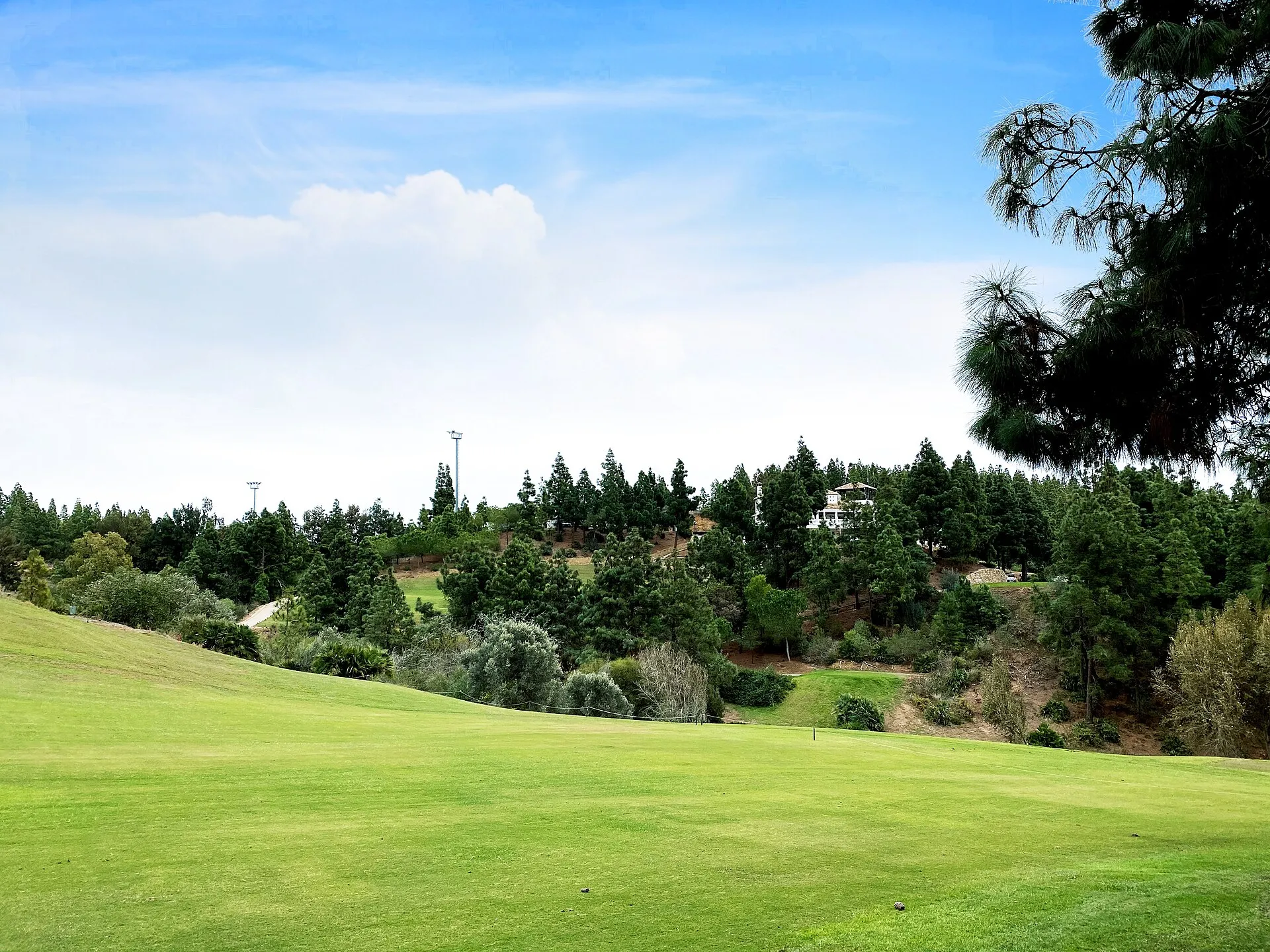 Fairway med skovklædte bakker på Chaparral Golf Club
